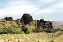 Indian Canyons In Palm Springs