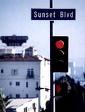 Romantic Sunset Boulevard In Los Angeles