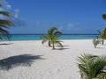 Barbados Beach Picture